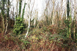  terrain belluire 17800