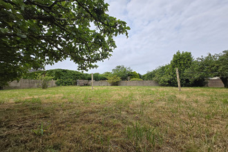  terrain belz 56550