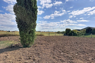  terrain bergholtz 68500