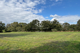  terrain berric 56230