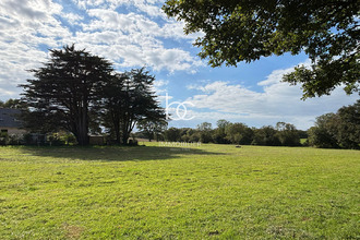  terrain berric 56230