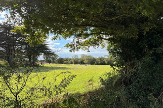  terrain berric 56230