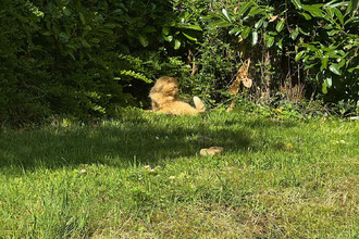  terrain besancon 25000