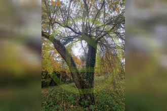  terrain bethemt-la-foret 95840