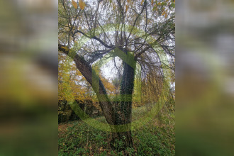  terrain bethemt-la-foret 95840