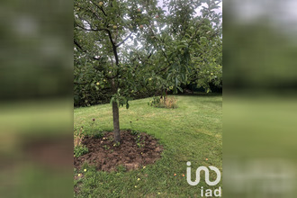  terrain bettwiller 67320