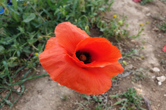  terrain beziers 34500