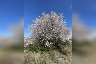  terrain beziers 34500