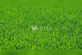  terrain bg-achard 27310