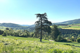  terrain bg-argental 42220