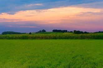  terrain bidache 64520