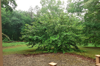  terrain biesles 52340