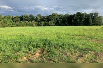  terrain biozat 03800