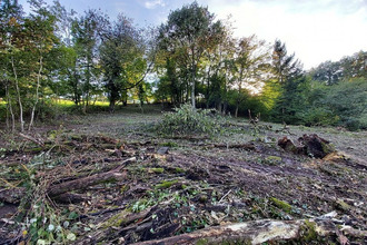  terrain blienschwiller 67650