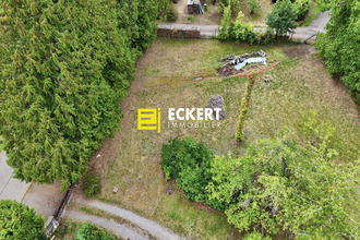  terrain boersch 67530