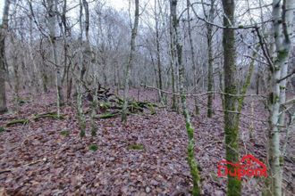  terrain bogny-sur-meuse 08120