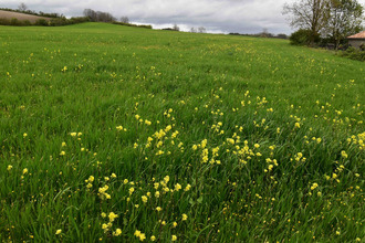  terrain boisse 24560