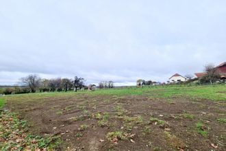  terrain bolandoz 25330