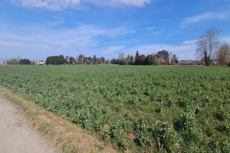  terrain borderes-sur-l-echez 65320