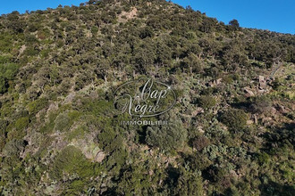  terrain bormes-les-mimosas 83230