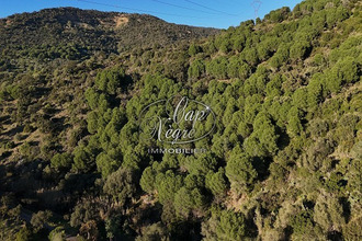  terrain bormes-les-mimosas 83230