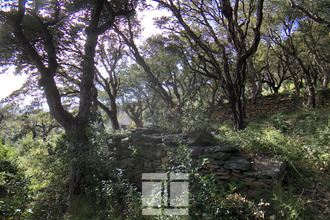  terrain brando 20222