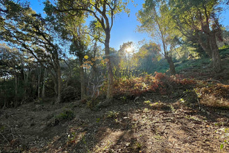  terrain brando 20222