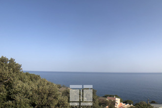  terrain brando 20222