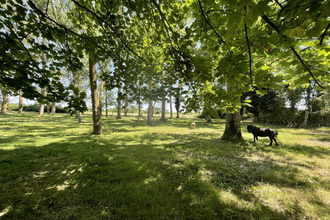  terrain braye-sous-faye 37120