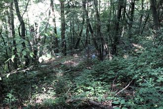  terrain breil-sur-roya 06540