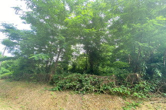  terrain bridore 37600