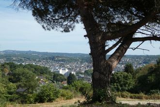  terrain brive-la-gaillarde 19100