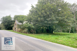  terrain broons 22250