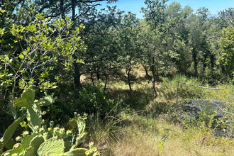  terrain brouilla 66620