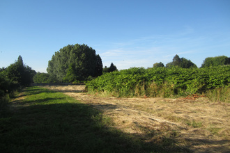  terrain busigny 59137