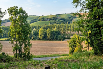  terrain caignac 31560