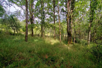  terrain caillac 46140