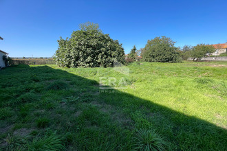  terrain camales 65500