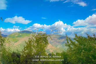  terrain campile 20290