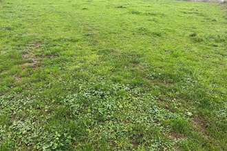  terrain cande 49440