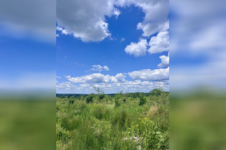  terrain capdrot 24540