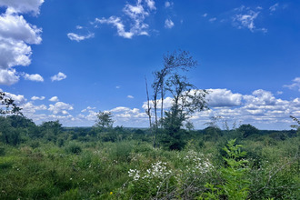  terrain capdrot 24540