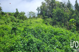  terrain capesterre-belle-eau 97130