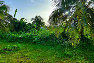  terrain capesterre-belle-eau 97130