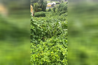  terrain capesterre-belle-eau 97130