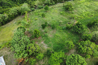  terrain carbet 97221