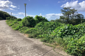  terrain carbet 97221