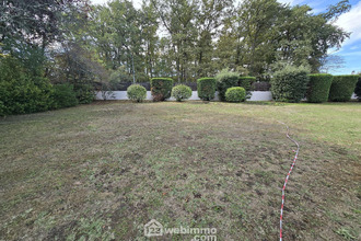  terrain carbon-blanc 33560