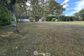  terrain carbon-blanc 33560