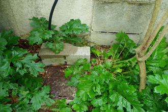  terrain carcassonne 11000